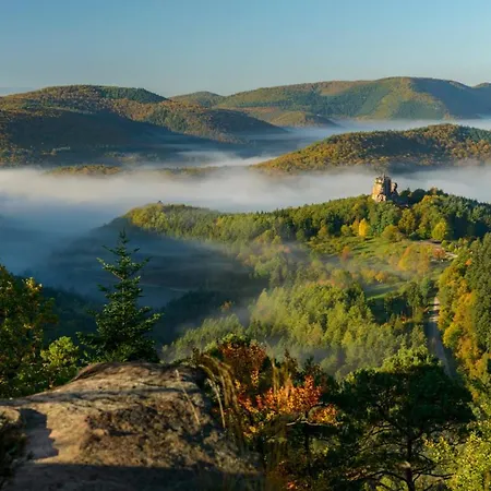 De Charme Avec Terrasse Privee, Jardin Partage *